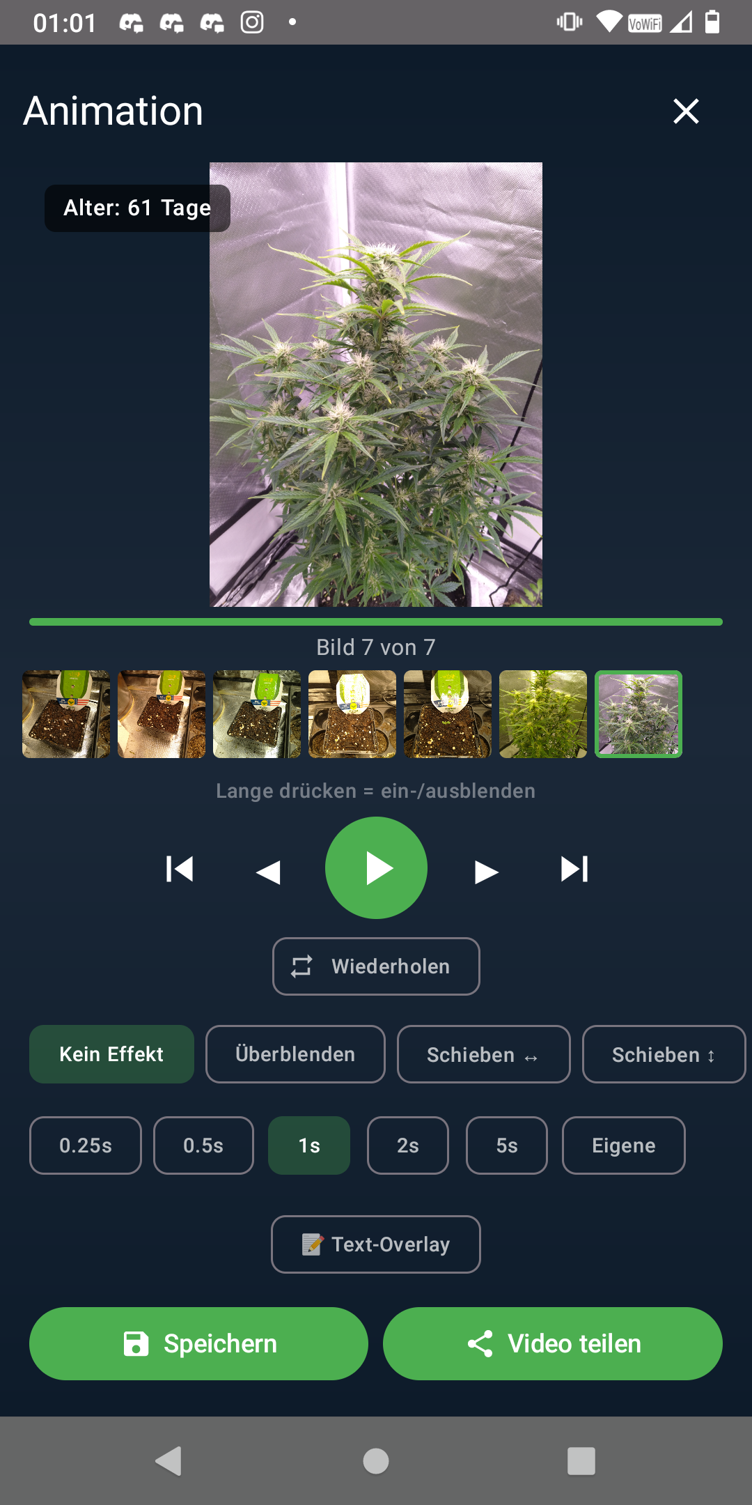 Screenshot 3 - Daily Picture